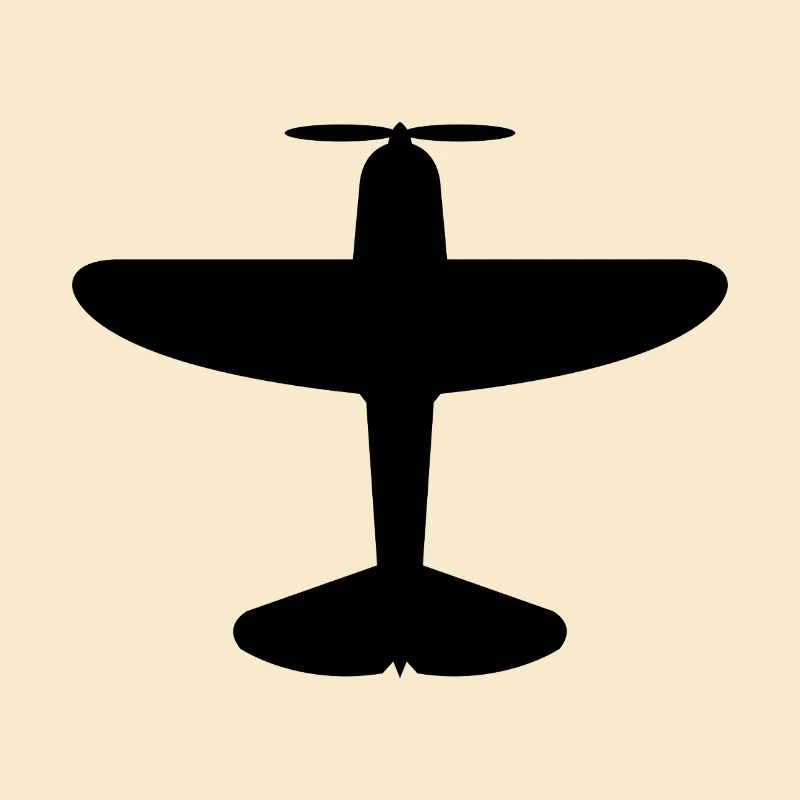 Altes Flugzeug