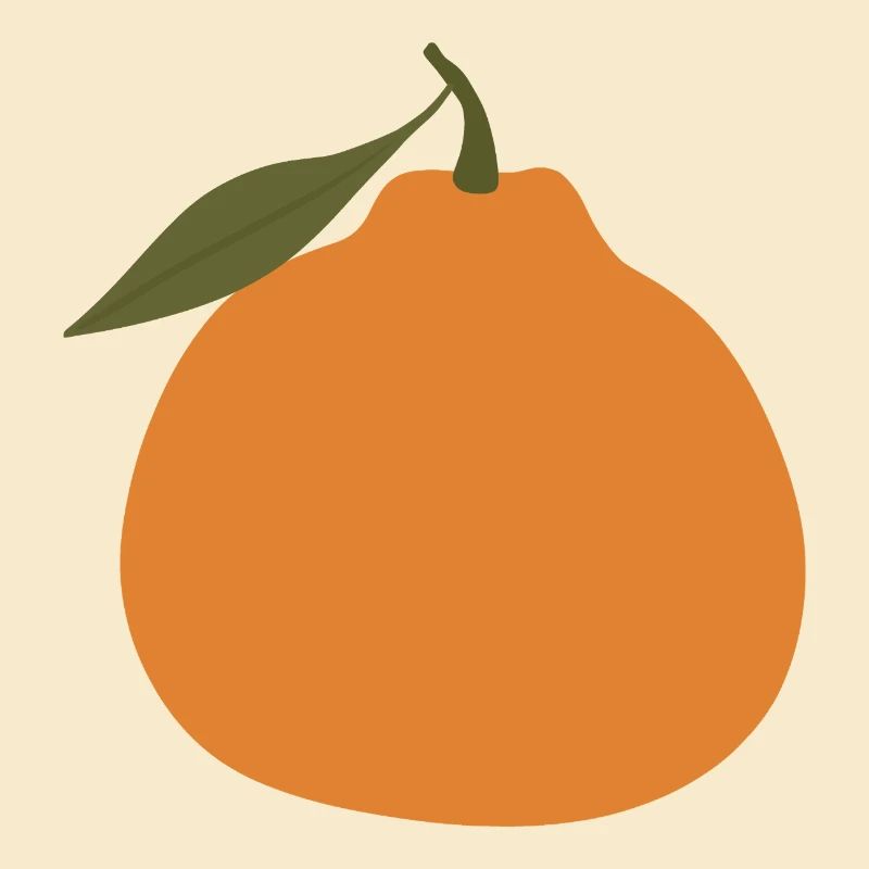 Minimalist Orange with Leaf