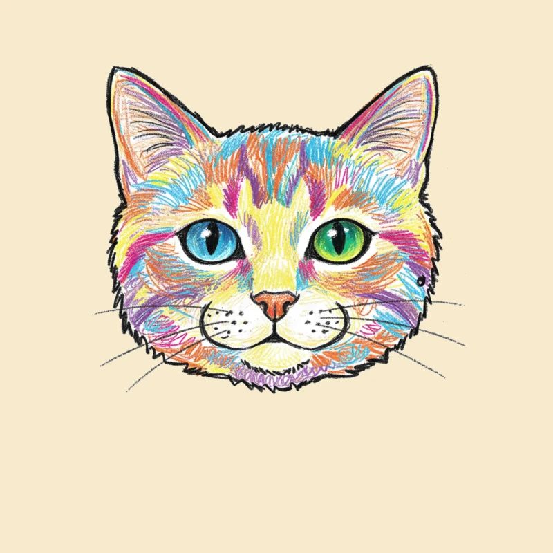 Motif d’animal coloré de chat