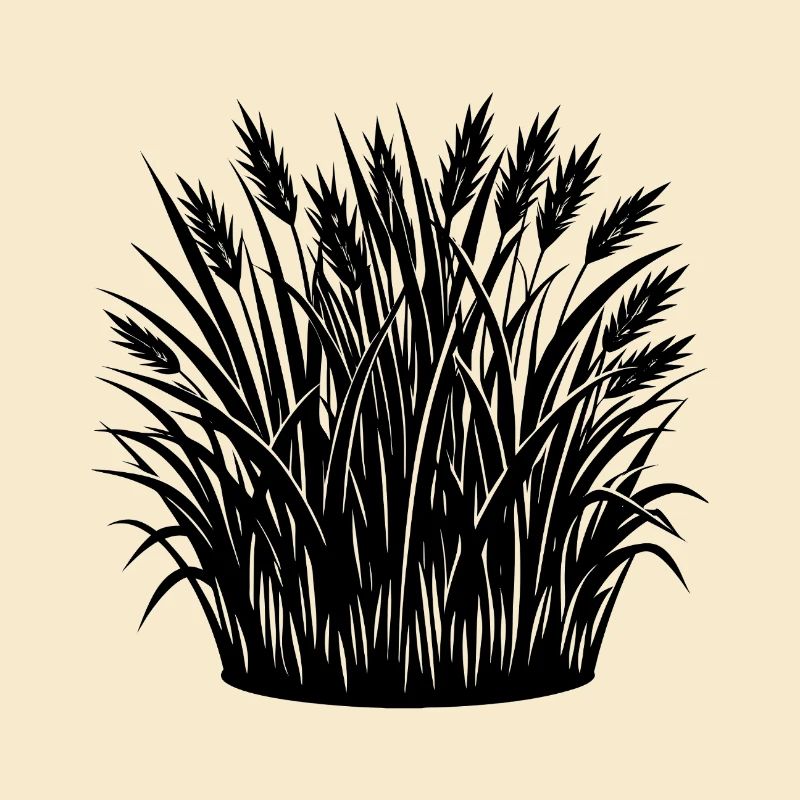 Gras