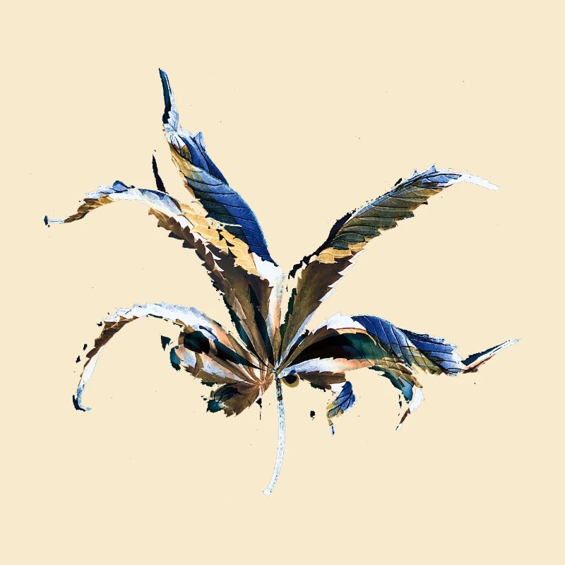 Couches foliaires