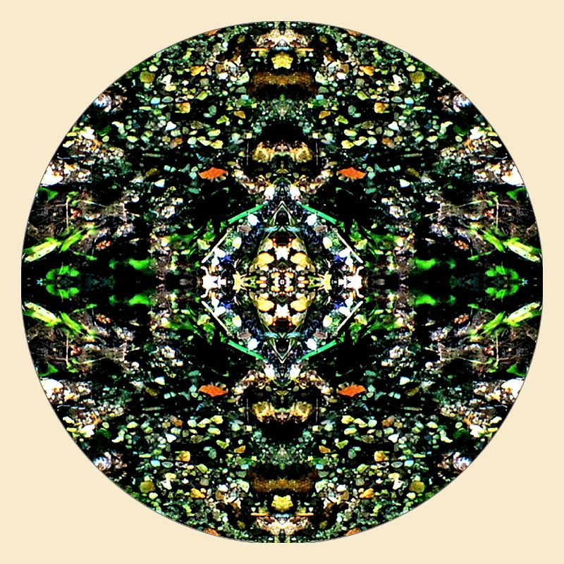 Nature Mandala Pebbles in the River