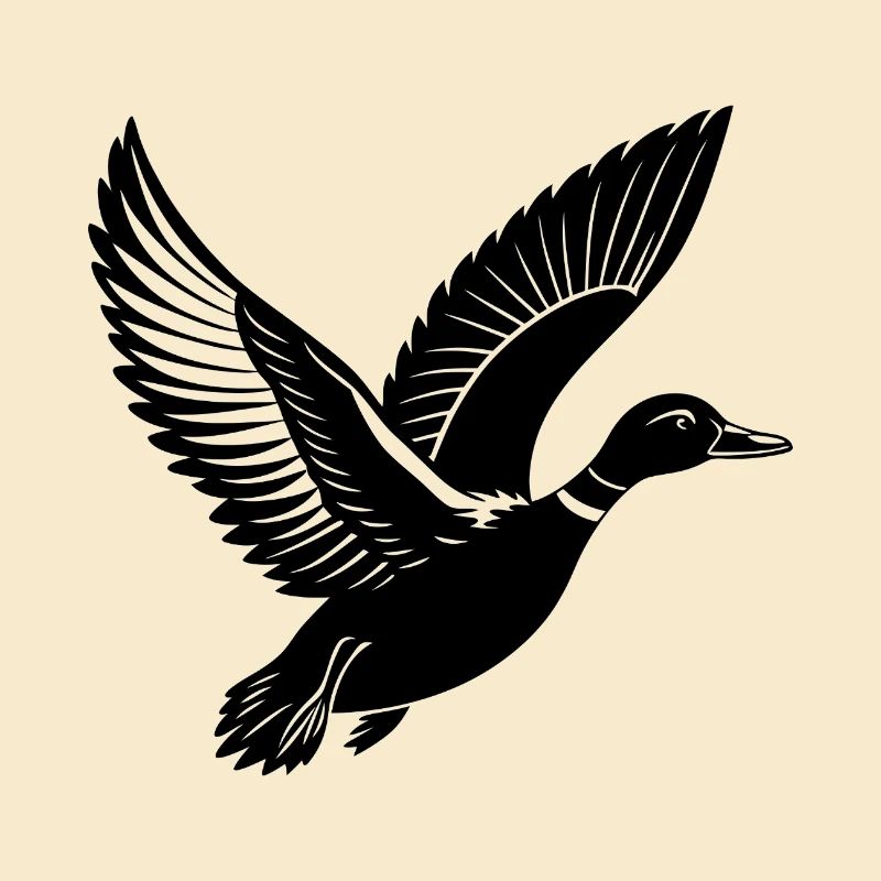 Canard colvert volant