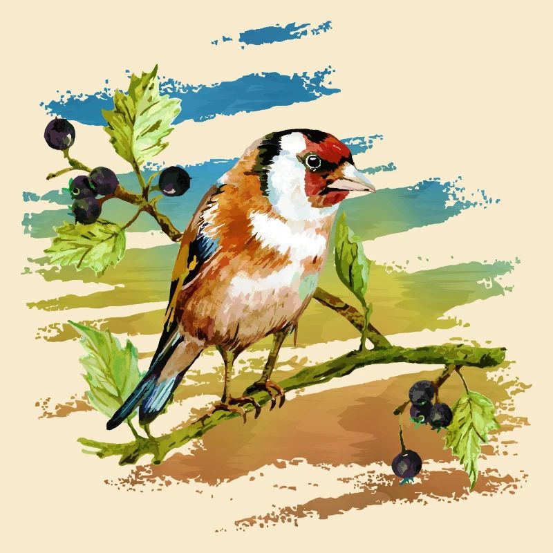 Oiseau coloré