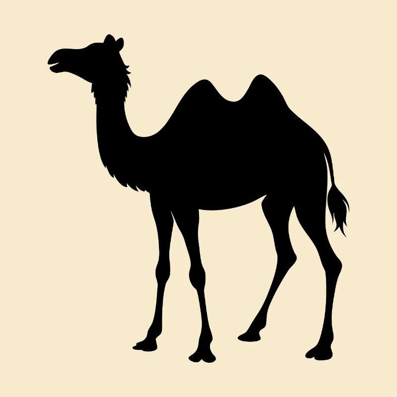 camel