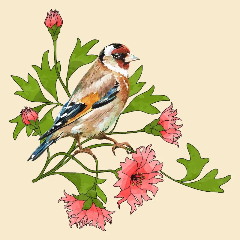 Colorful bird