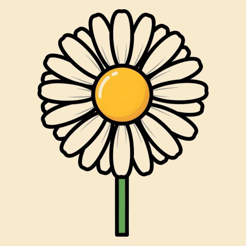 daisy