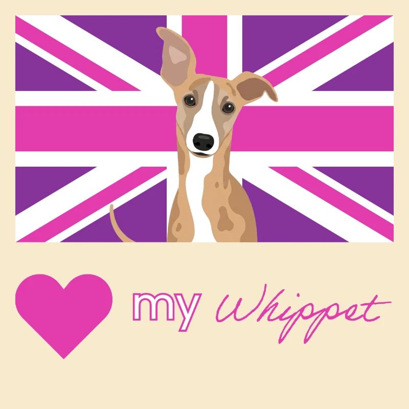 VIOLETWHIPPET (Rose)