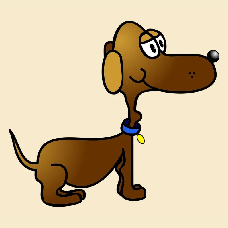 dachshund