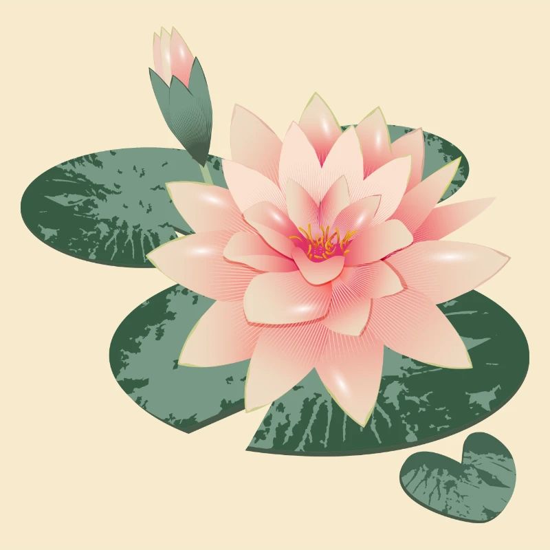 Fleur de nénuphars avec bourgeon dans l’étang de nénuphars