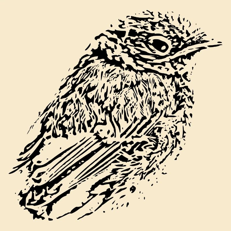 Oiseau