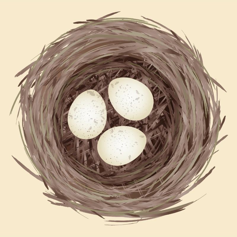 Vogelnest mit drei Eiern – Natürliche Illustration