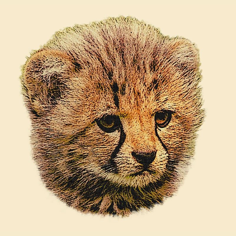 Bébé guépard, bébé animal