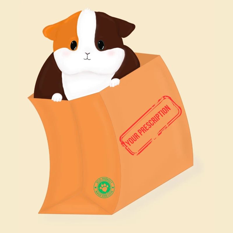 Cochon d’Inde Votre ordonnance