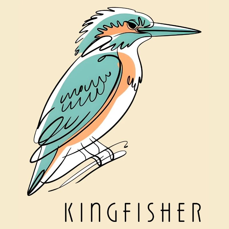 Kingfisher Eisvogel