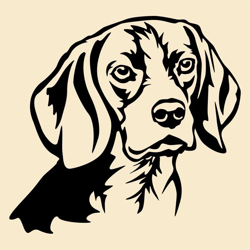 Beagle Kopf