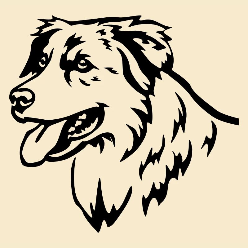 Australian Shepherd Kopf