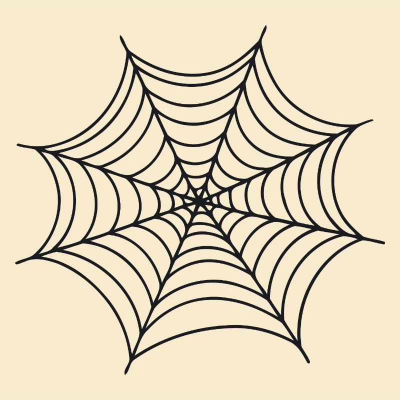 Black Minimalist Spider Web