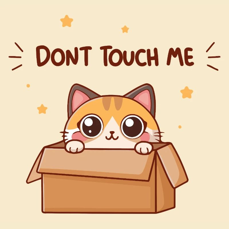 Kitten in a Box: Do not touch