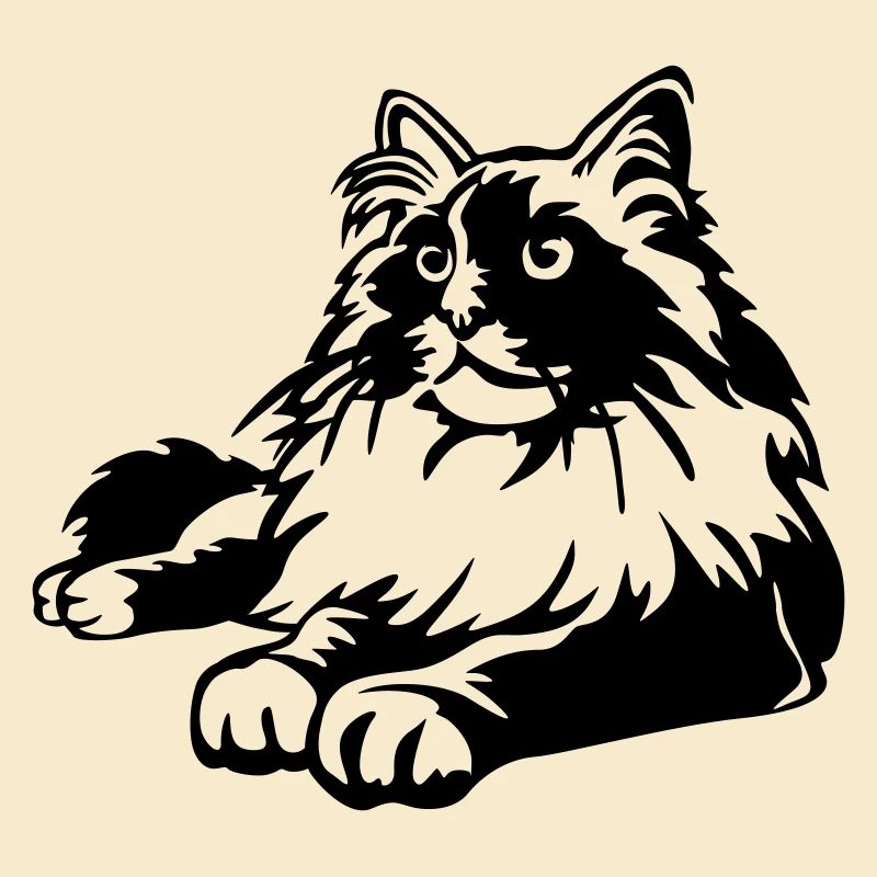 Ragdoll Katze