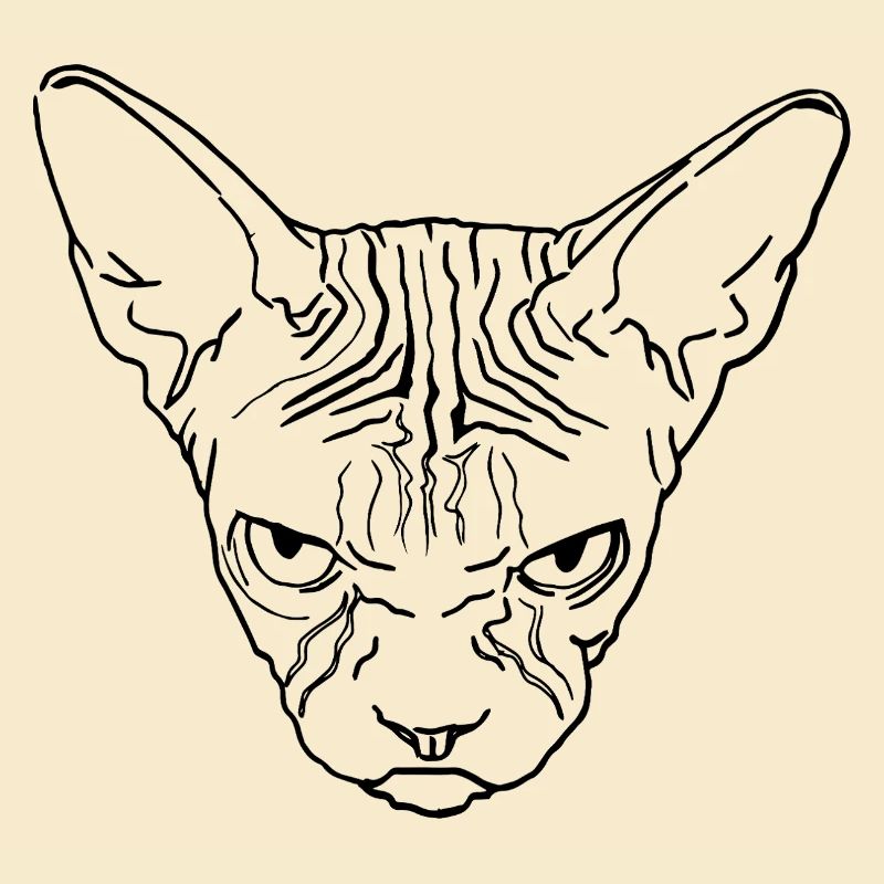 Tête de sphinx