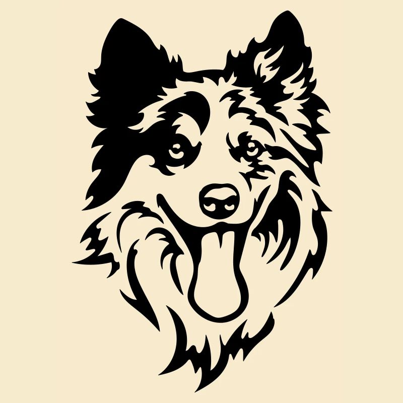 Tête de Border Collie