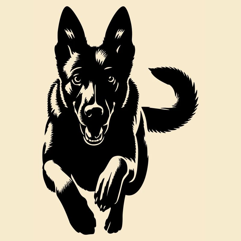 Malinois