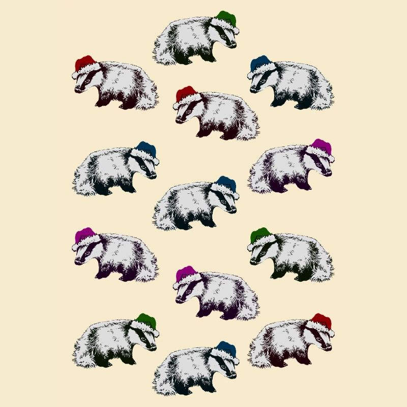 BLAIREAUX DE NOËL