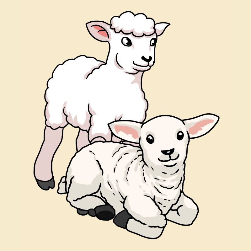 Sheep Easter lamb farm animals kids wool