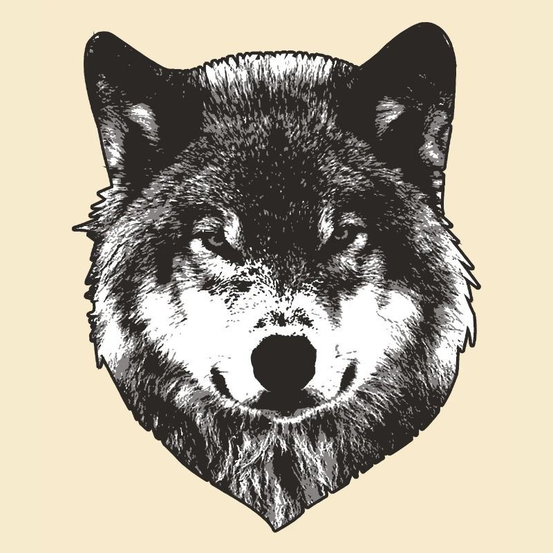 Wolf Face