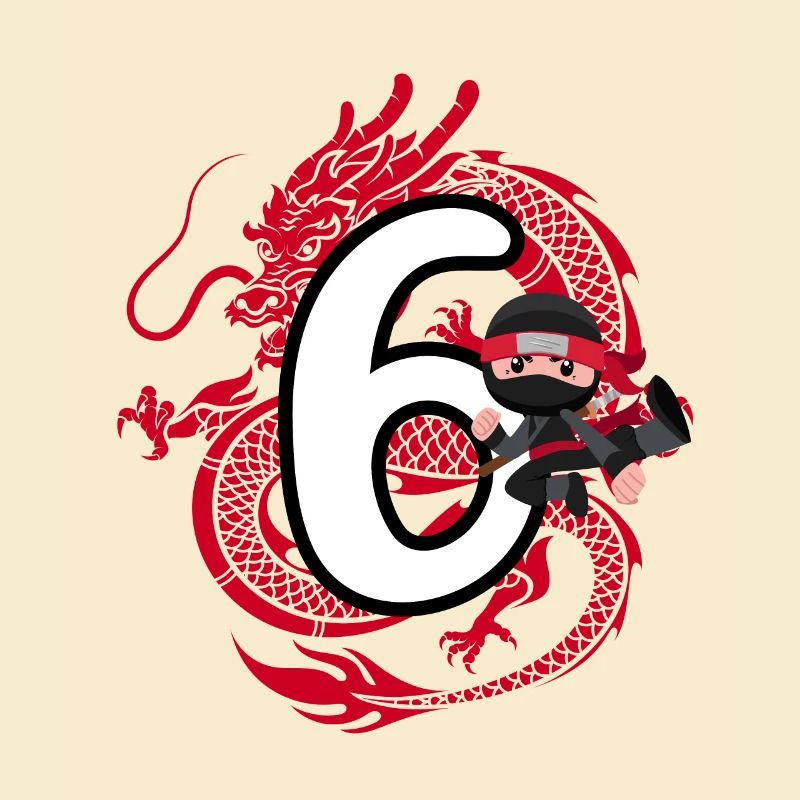 6. Geburtstag Junge 6 Jahre Ninja Drache Kostüm