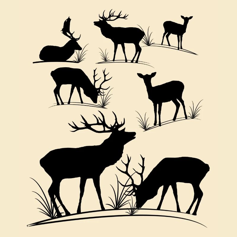 Hirsche, Reh, Rotwild, Damwild, Hirsch, Rehbock