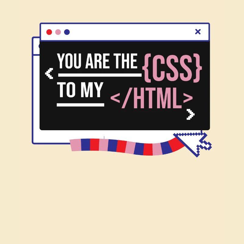 Software Developer Engineer