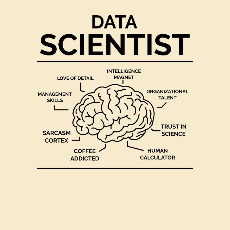 Data analytiker