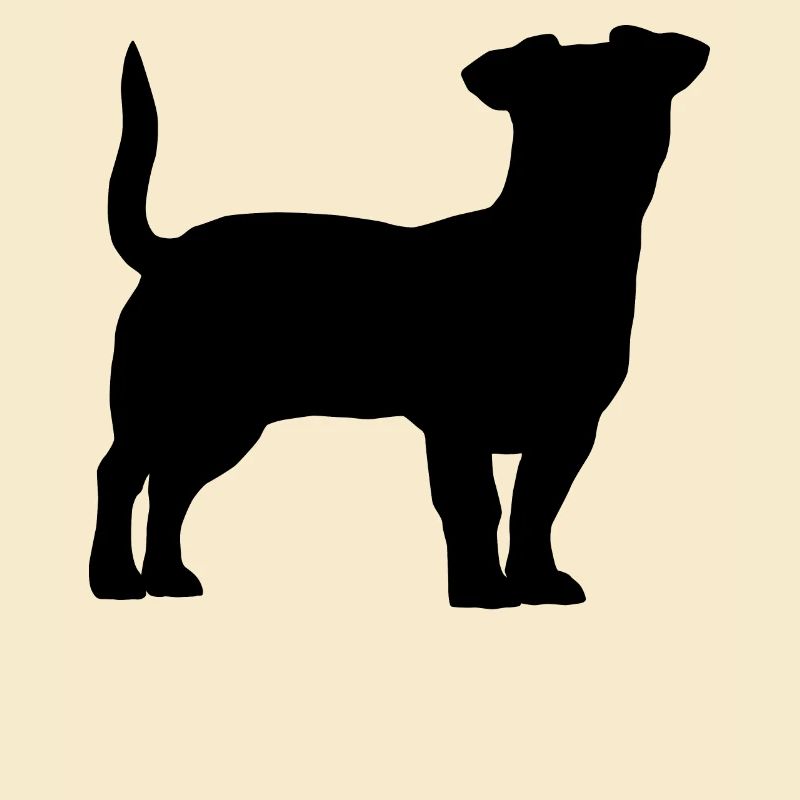 Jack Russell Terrier