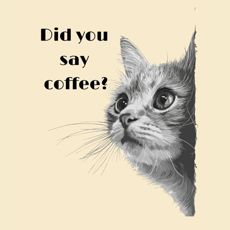 chat blanc gris demande du café
