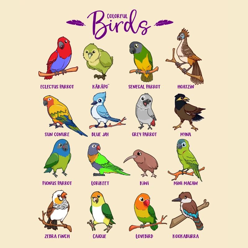 Différents oiseaux de dessin animé