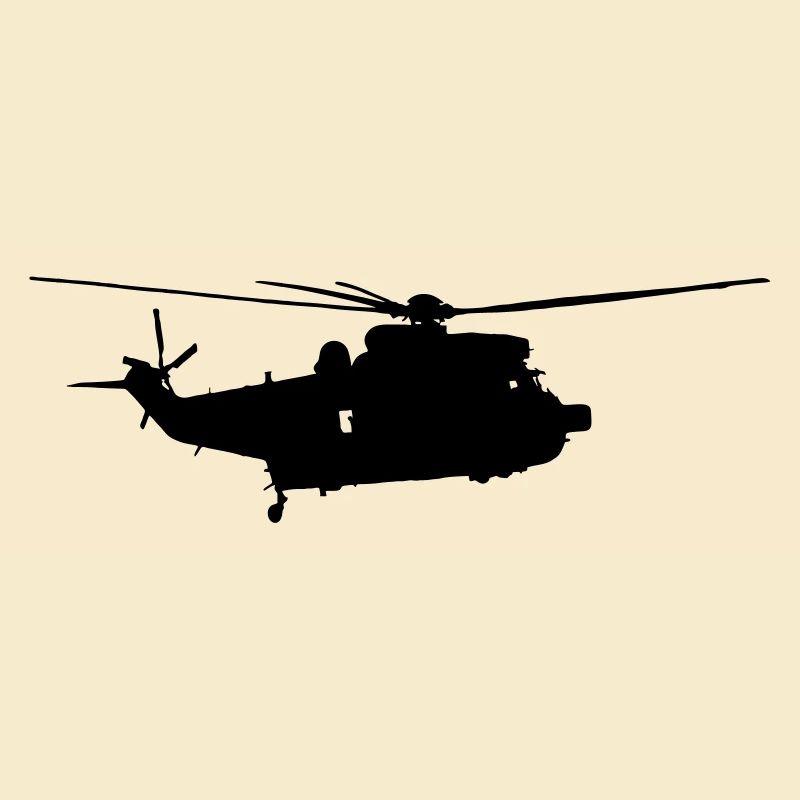 Seakingpilote d’hélicoptère