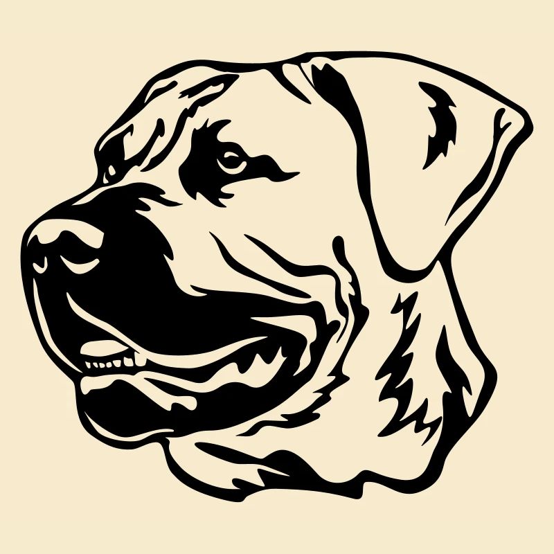 Boerboel Kopf