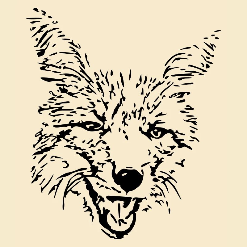 Renard effronté
