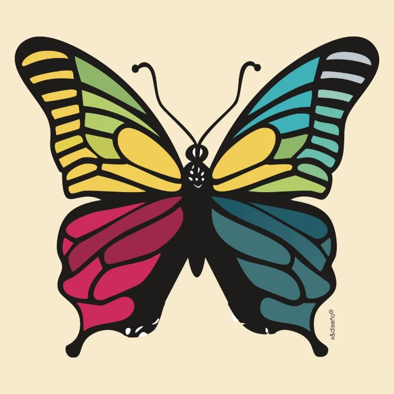 Vibrant rainbow butterfly
