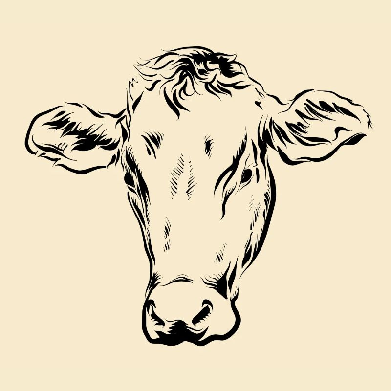 Vache Vaches