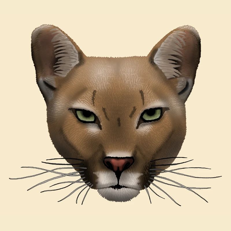 Cougar R6Z