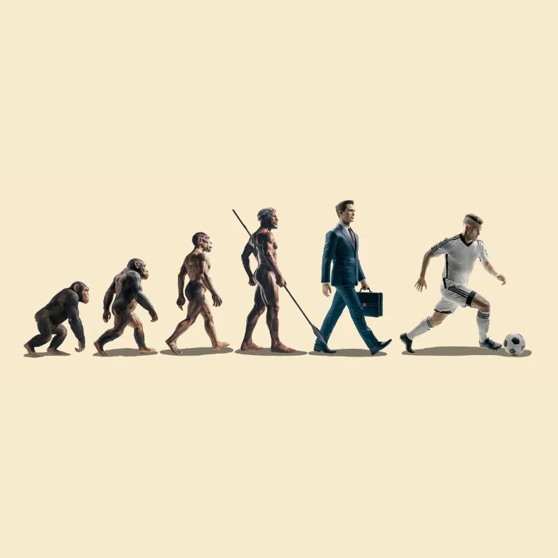 Evolution Fußball 06 2024 Zeichenfläche 1