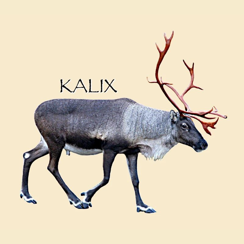 KALIX