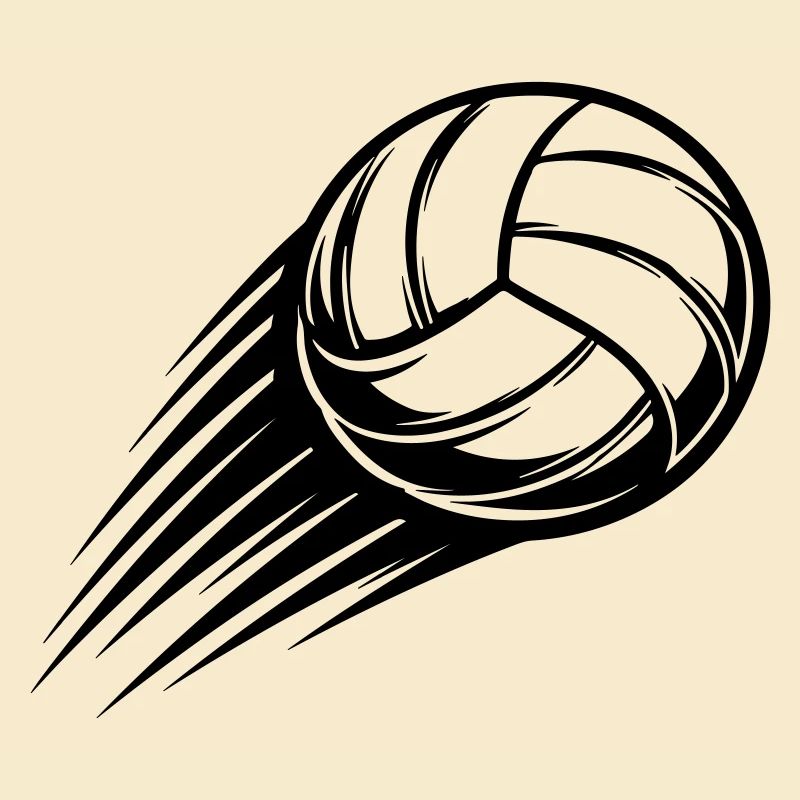 Volleyball Ball