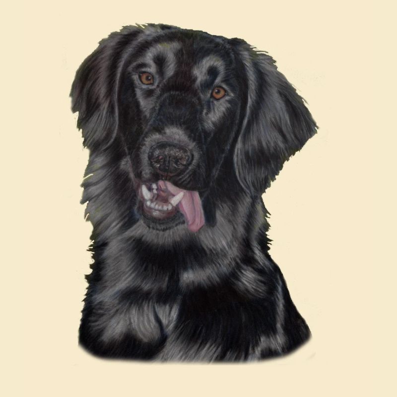 flatcoated retriever pastels