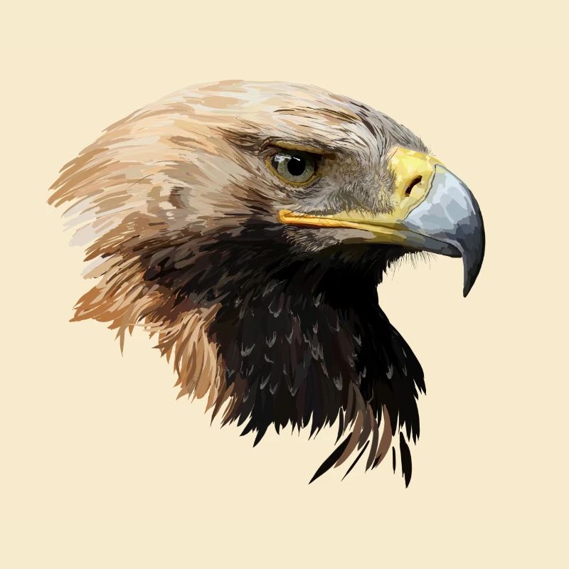 aigle