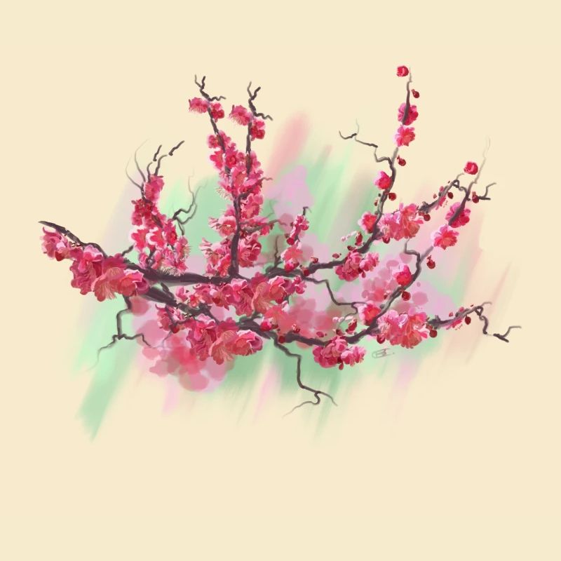 sakura