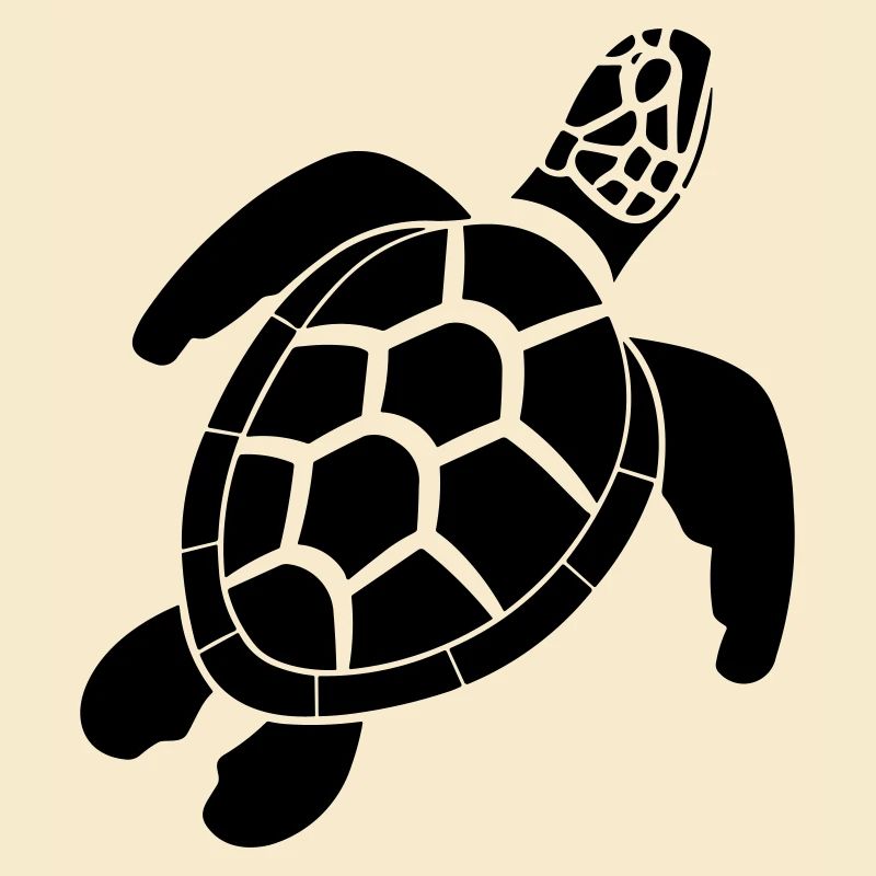 tortue